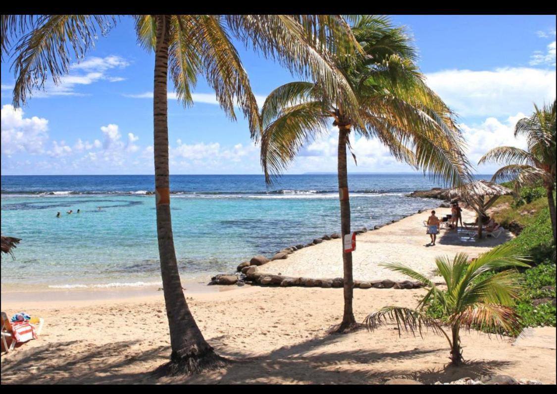 סן-פרנסואה Gwada Cocoon & Blue Lagoon, 2 Studios Cote A Cote Au Manganao A St Francois & Choisissez Le Plus Adapte מראה חיצוני תמונה