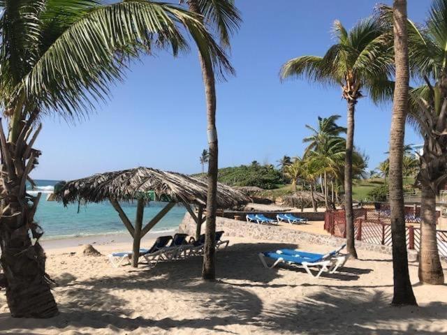 סן-פרנסואה Gwada Cocoon & Blue Lagoon, 2 Studios Cote A Cote Au Manganao A St Francois & Choisissez Le Plus Adapte מראה חיצוני תמונה