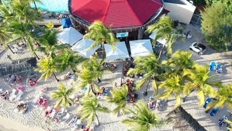 סן-פרנסואה Gwada Cocoon & Blue Lagoon, 2 Studios Cote A Cote Au Manganao A St Francois & Choisissez Le Plus Adapte מראה חיצוני תמונה